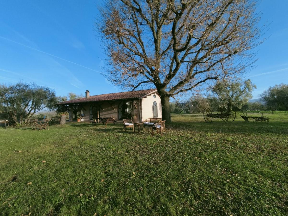 Agriturismo Bio Pian Dei Casali Saturnia Exterior photo