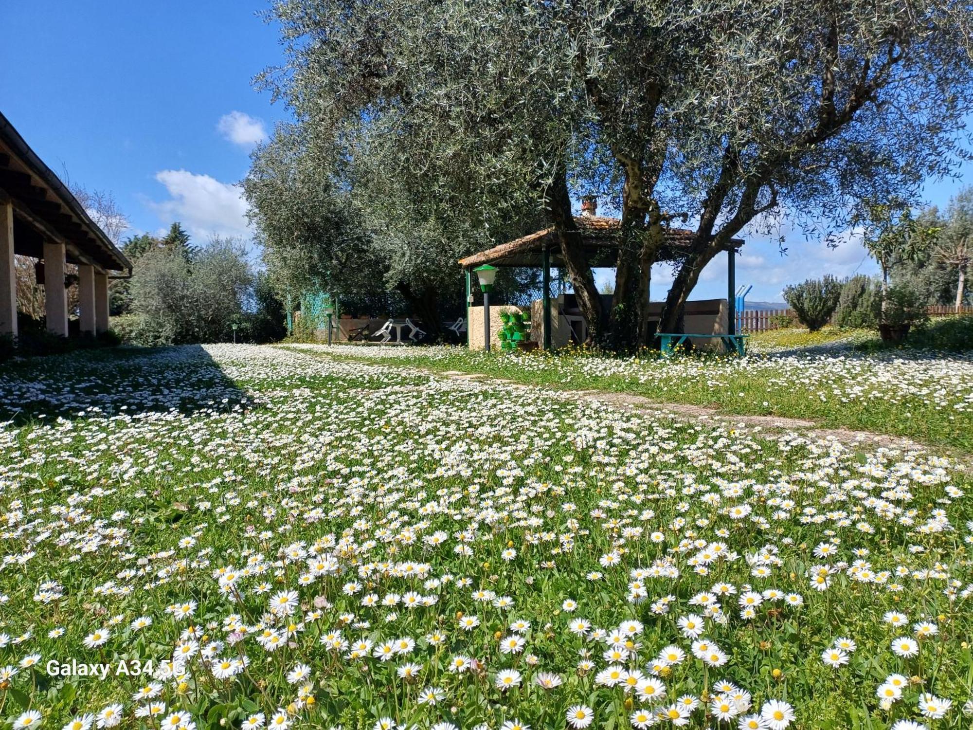 Agriturismo Bio Pian Dei Casali Saturnia Exterior photo
