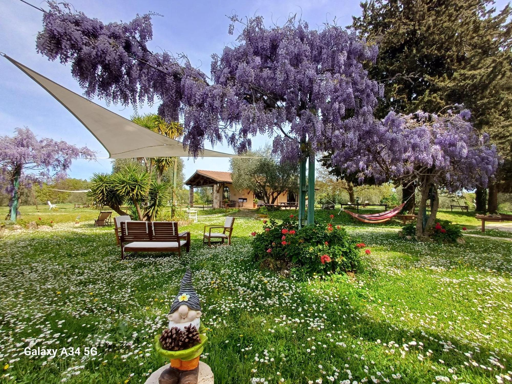 Agriturismo Bio Pian Dei Casali Saturnia Exterior photo